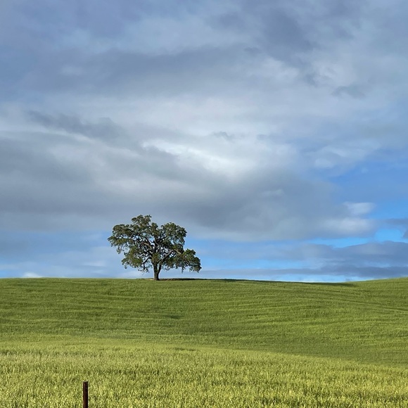 Meet your Posher, Dorothy - Picture 4 of 5